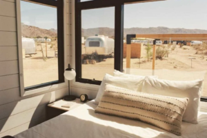 Joshua Tree National Park